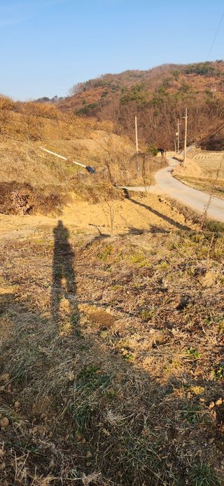 현길01021982님의 작성글 사진