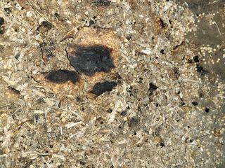 권석민님의 자유주제 · 자유게시판 작성글 사진