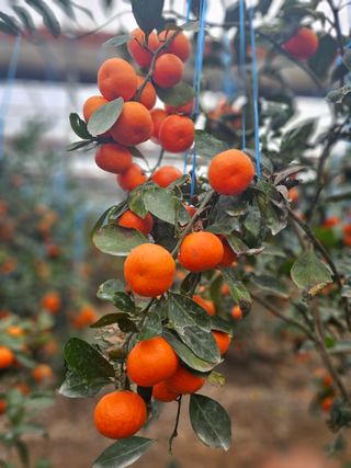 양애숙님의 작성글 사진