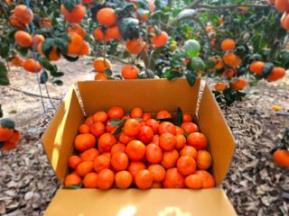 양애숙님의 작성글 사진