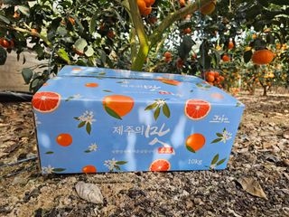 양애숙님의 작성글 사진