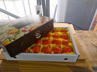 양애숙님의 작성글 사진