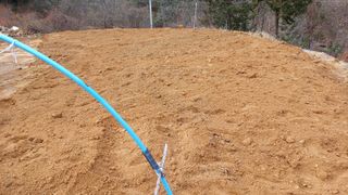 알 수 없음님의 고추 · 영농일지 작성글 사진