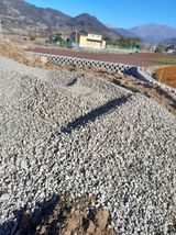 팜모닝 자유주제·자유게시판 게시글 이미지