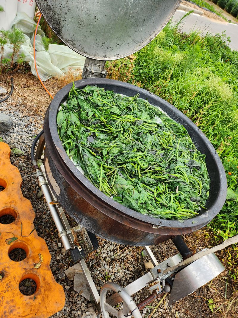 팜모닝회원  바이크농원님의 장터 판매 상품 [건곤드네 200g] 첨부 사진