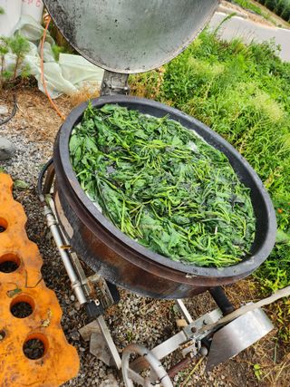 팜모닝회원 바이크농원님의 작성글 사진