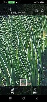 팜모닝 · 게시글 이미지