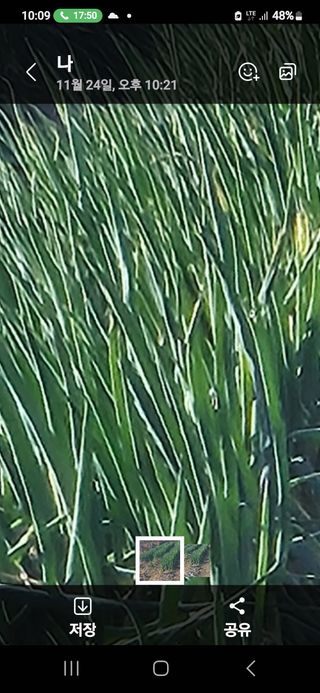 법선님의 작성글 사진