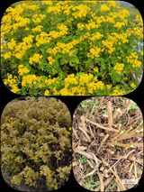 팜모닝 자유주제·자유게시판 게시글 이미지