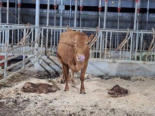 이상권님의 자유주제 · 자유게시판 작성글 사진