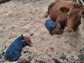 이상권님의 자유주제 · 자유게시판 작성글 사진