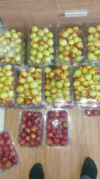 용호주말농장님의 기타작물 · 영농일지 작성글 사진