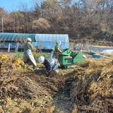 팜모닝 기타작물·영농일지 게시글 이미지