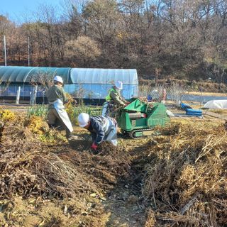 두두짱돌님의 기타작물 · 영농일지 작성글 사진