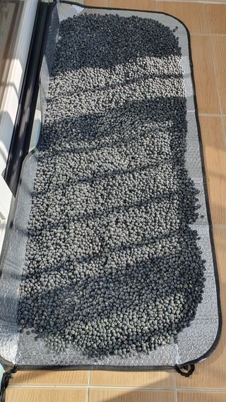 이서구님의 콩 · 영농일지 작성글 사진