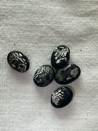 이헌우님의 자유주제 · 자유게시판 작성글 사진