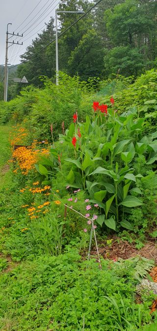 정응화님의 기타작물 · 영농일지 작성글 사진