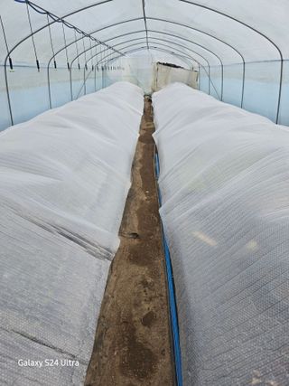 약초원 김종군님의 자유주제 · 자유게시판 작성글 사진