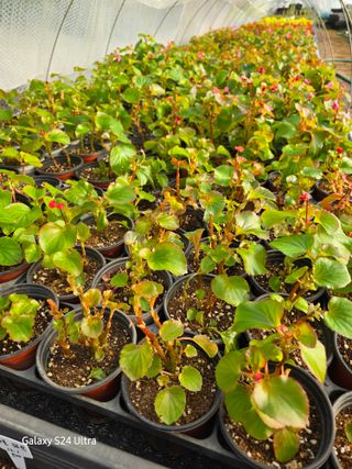 약초원 김종군님의 자유주제 · 자유게시판 작성글 사진