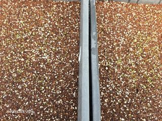 약초원 김종군님의 자유주제 · 자유게시판 작성글 사진