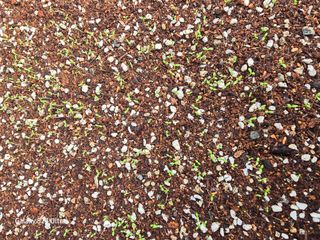 약초원 김종군님의 자유주제 · 자유게시판 작성글 사진