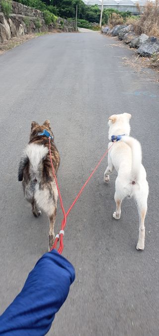 이나영님의 팜모닝 · 출석 작성글 사진