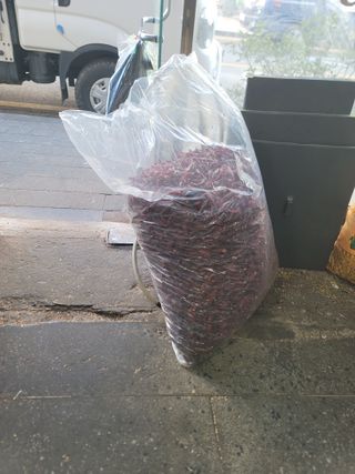 이석기님의 고추 · 영농일지 작성글 사진