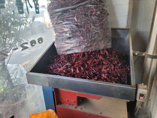 이석기님의 고추 · 영농일지 작성글 사진