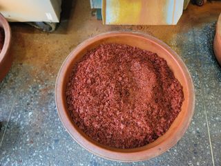 이석기님의 고추 · 영농일지 작성글 사진