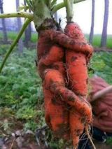 팜모닝 자유주제·사진전 게시글 이미지