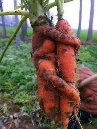 알 수 없음님의 자유주제 · 사진전 작성글 사진