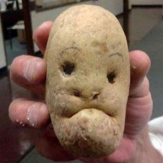 알 수 없음님의 자유주제 · 사진전 작성글 사진