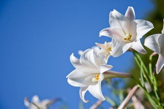 알 수 없음님의 자유주제 · 사진전 작성글 사진