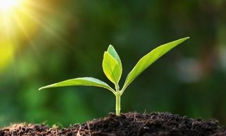 알 수 없음님의 자유주제 · 사진전 작성글 사진