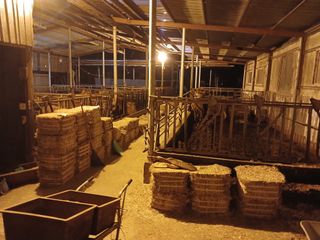 알 수 없음님의 자유주제 · 자유게시판 작성글 사진