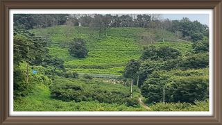 알 수 없음님의 자유주제 · 자유게시판 작성글 사진