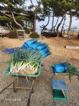 김시내 님의 기타작물 · 영농일지 작성글 사진