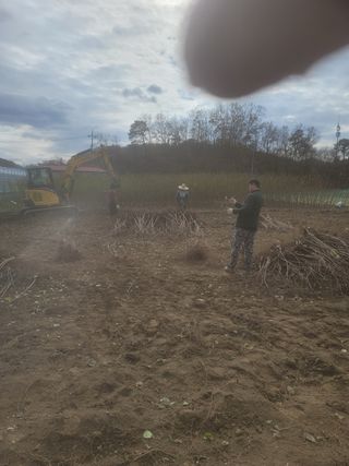 일심묘목농원님의 자유주제 · 자유게시판 작성글 사진