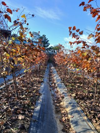 오늘 이순간님의 자유주제 · 자유게시판 작성글 사진
