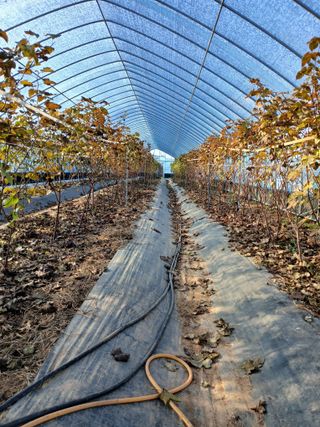 오늘 이순간님의 자유주제 · 자유게시판 작성글 사진