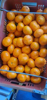 팜모닝 기타작물·영농일지 게시글 이미지