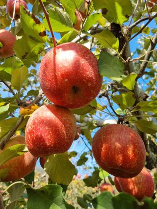 박영창님의 자유주제 · 자유게시판 작성글 사진