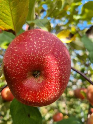 박영창님의 자유주제 · 자유게시판 작성글 사진