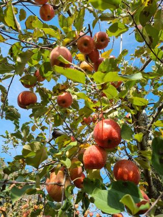 박영창님의 자유주제 · 자유게시판 작성글 사진