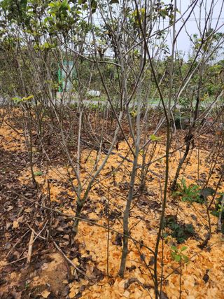 오대원님의 자유주제 · 자유게시판 작성글 사진