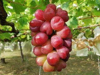 오대원님의 자유주제 · 자유게시판 작성글 사진