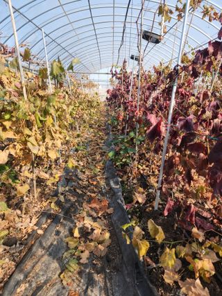 오대원님의 자유주제 · 자유게시판 작성글 사진