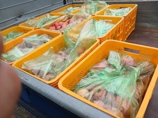 알 수 없음님의 자유주제 · 자유게시판 작성글 사진