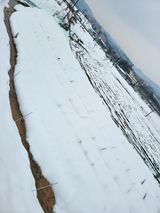 팜모닝 자유주제·자유게시판 게시글 이미지