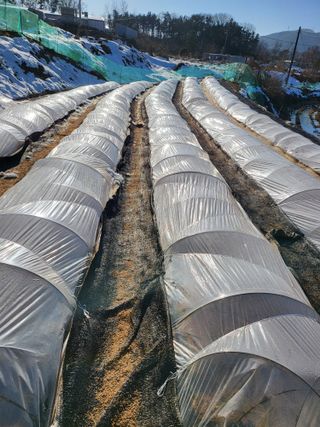 정금천님의 자유주제 · 자유게시판 작성글 사진